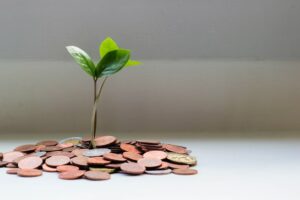 Money and a growing plant from conquer as a symbol of endless possibility. Choose blogging vs vlogging money topic for a blog post