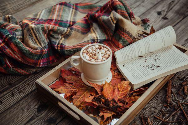 Cozy fall image of a pumpkin spice latte, a book, scarf. Blog post related to fall blog post ideas